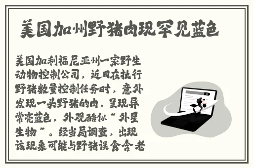 黑料不打烊海角社区